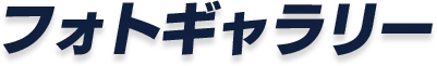 フォトギャラリー